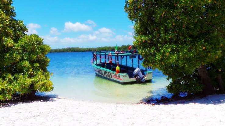 Mida Creek