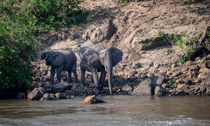 Mkhadzi Waterhole