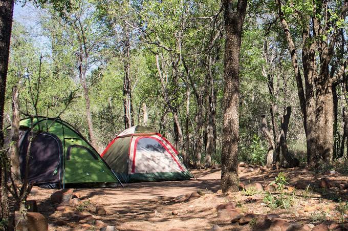 Mokolodi Campsite Area