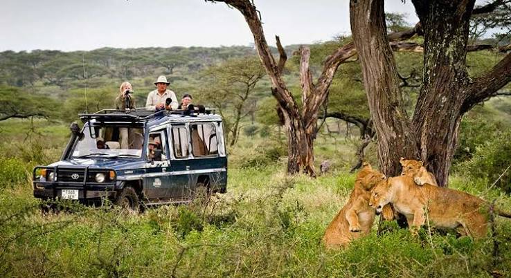 Mokolodi Nature Reserve Main Game Area