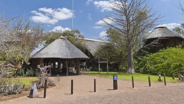 Mopani