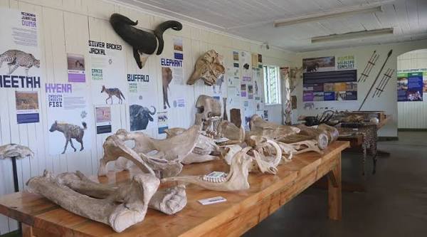 Morani Information Centre