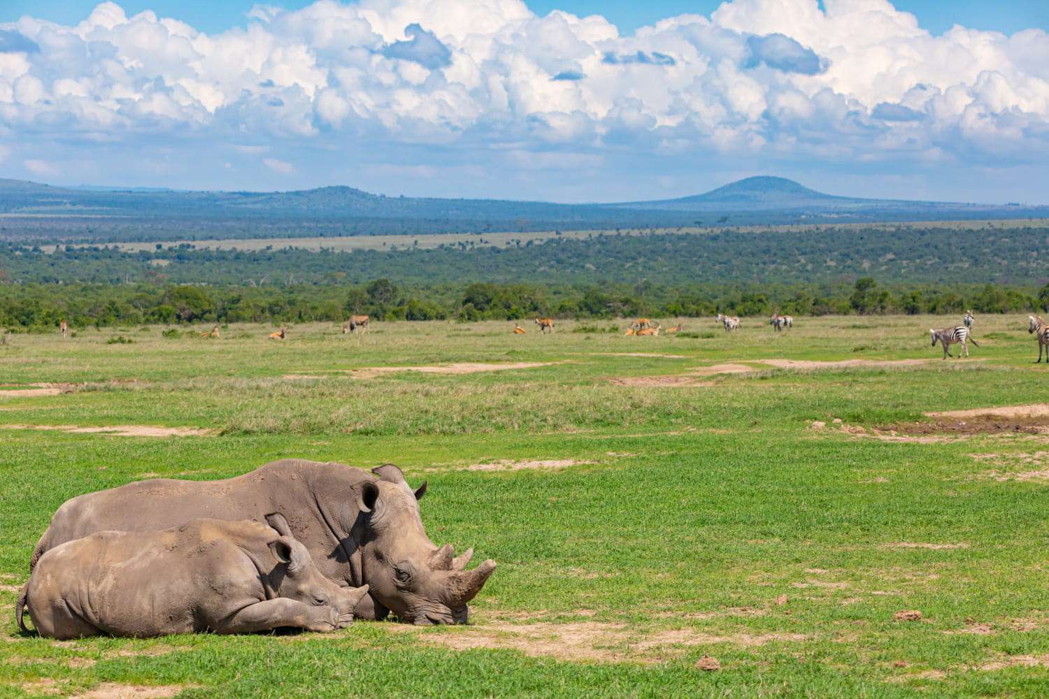 Mount Kenya Viewpoints