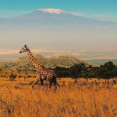 Mount Kilimanjaro Viewpoints
