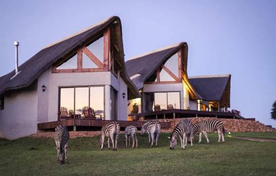 Mountain Zebra National Park Main Camp​