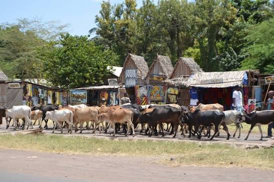 Mto wa Mbu Village