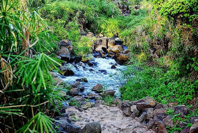 Mzima Springs