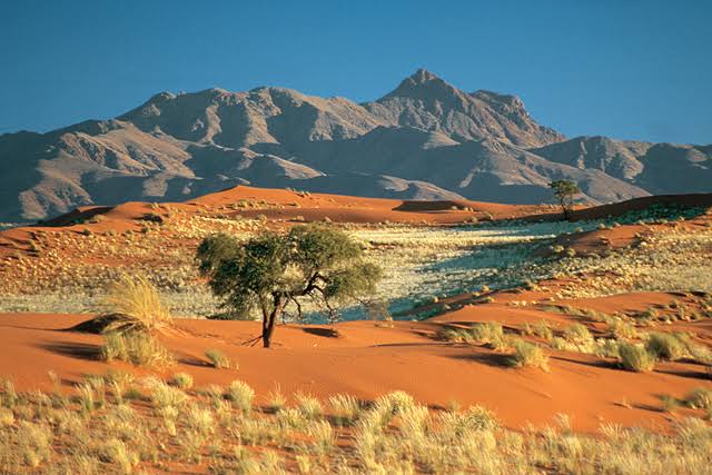 NamibRand Nature Reserve