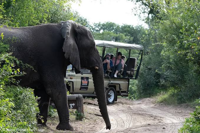 Ndumo Game Reserve