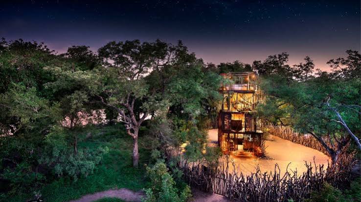 Ngala Safari Lodge
