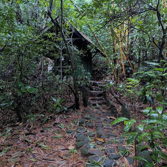 Night Walk Trails