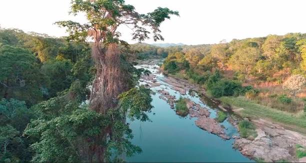 Nkhotakota Wildlife Reserve