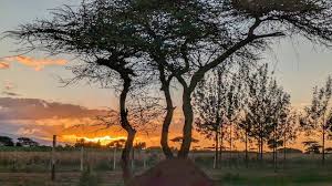Noomotio Observation Point