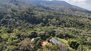 Ntchisi Forest Reserve (Nearby)