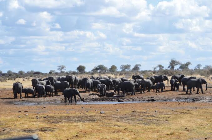 Nyae Nyae Conservancy