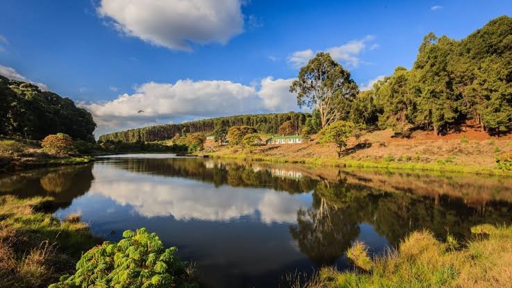 Nyika National Park
