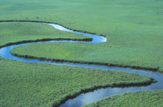 Okavango Panhandle