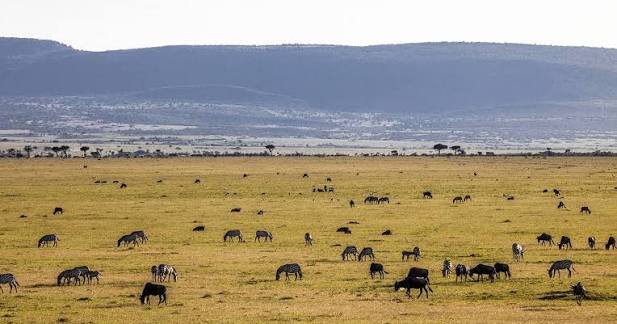 Ol Kinyei Conservancy