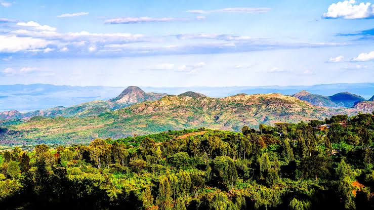 Omo National Park (Nearby)