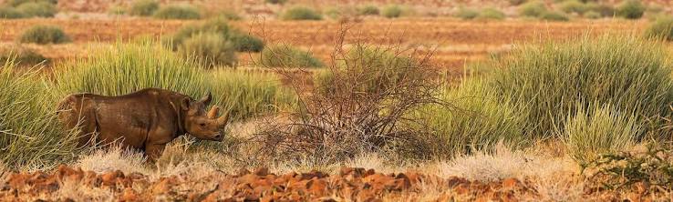 Palmwag Concession