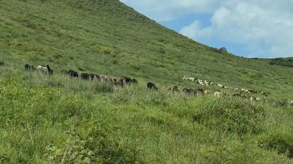 Pingo Hill