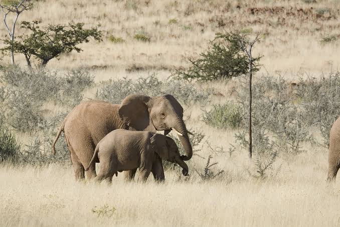 Purros Conservancy