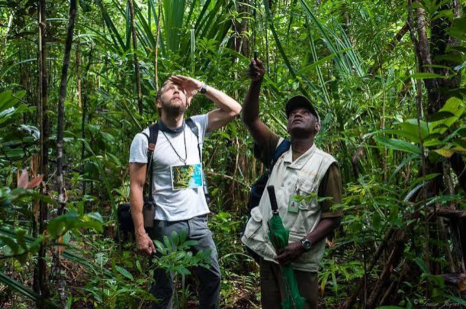 Rainforest Trails Network
