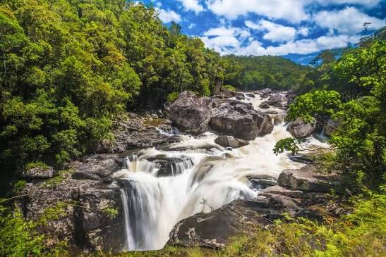 Ranomafana National Park
