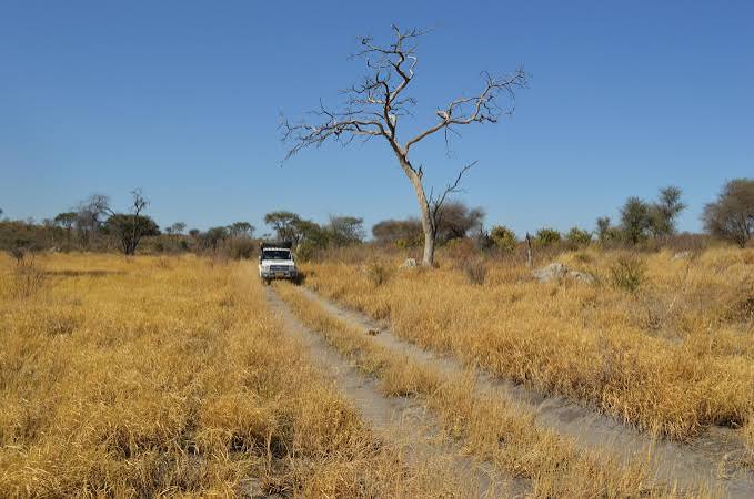 Remote Game Tracks
