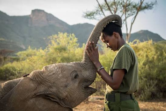 Reteti Elephant Sanctuary
