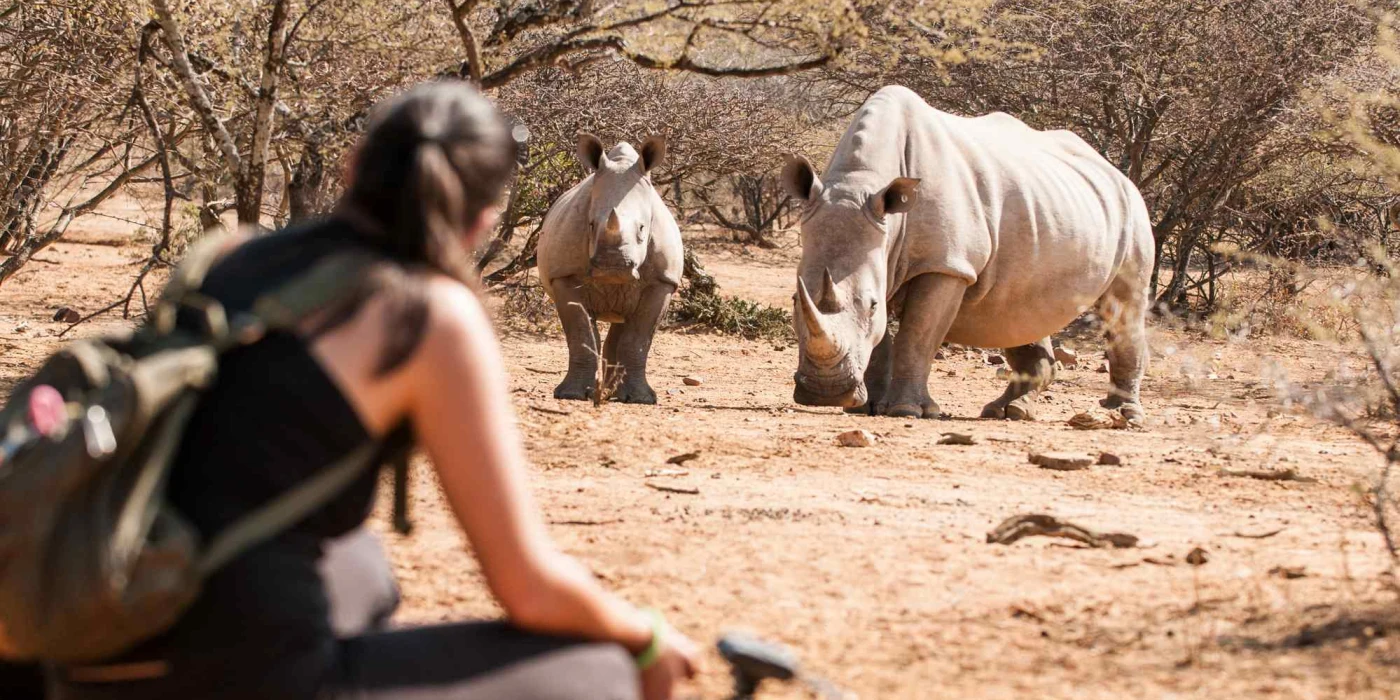 Rhino Enclosure