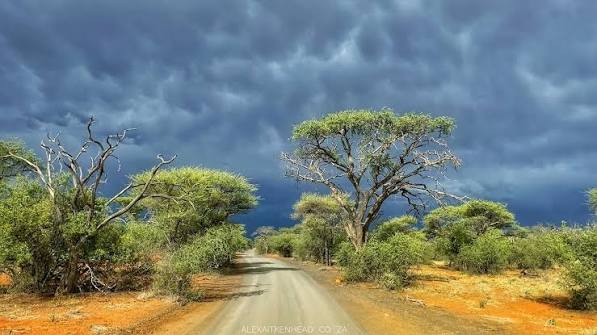 Rietfontein Area