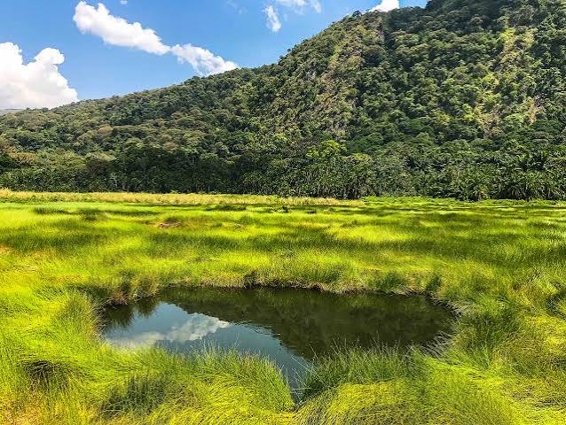 Ruwenzori Foothills