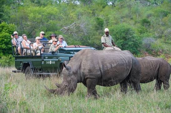 Sabi Sabi Game Drives