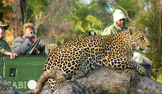 Sabi Sabi Private Game Reserve