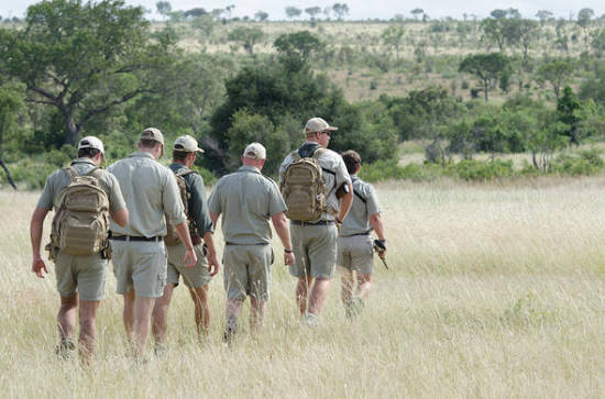 Sabi Sabi Walking Safaris