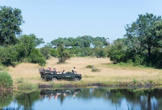 Sabi Sabi Waterhole Experience