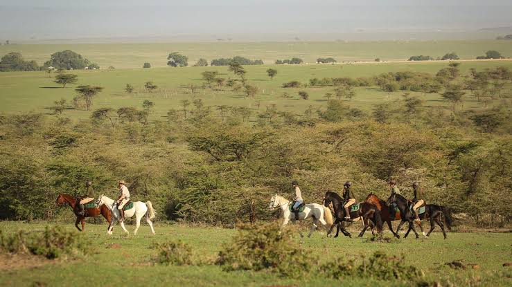 Scenic Horseback Trails