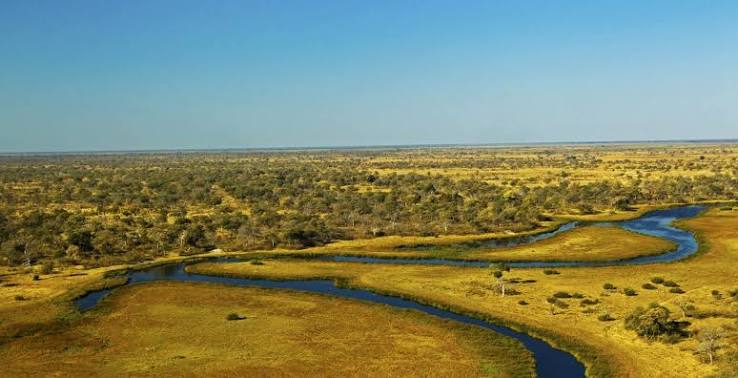 Selinda Plains