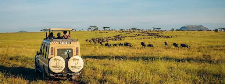 Serengeti National Park