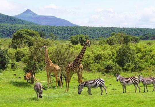 Serengeti National Park