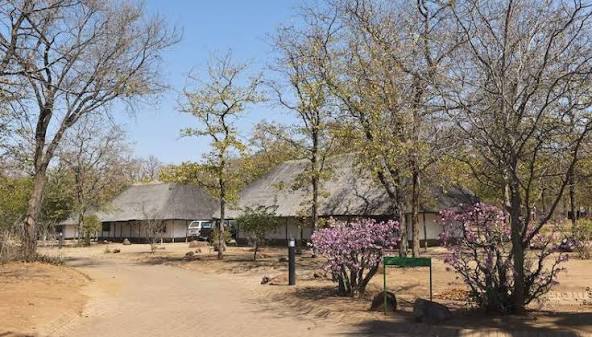 Shingwedzi