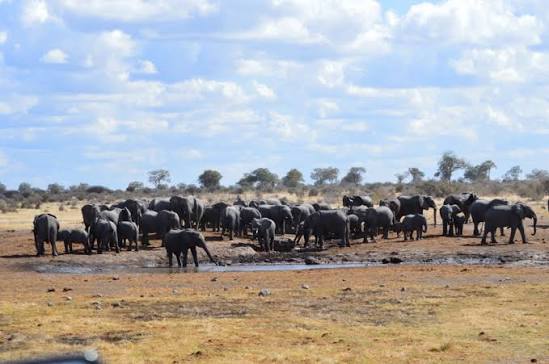 Sikereti Waterhole