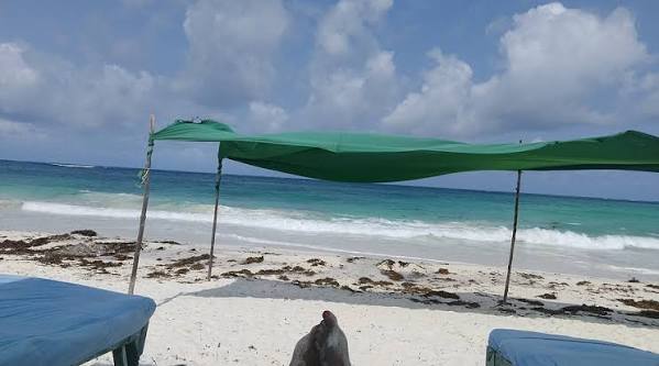 Silversands Beach