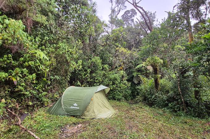 Simpona Camp