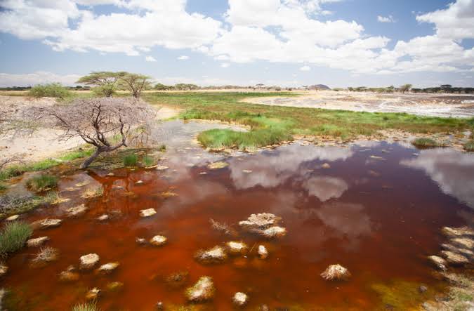 Small Marsh Areas