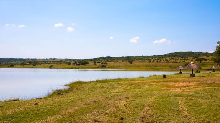 Spioenkop Dam