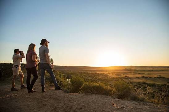 Sundowner Hill
