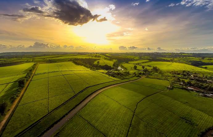 Sunset Viewing Spots