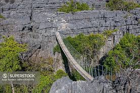 Suspension Bridge